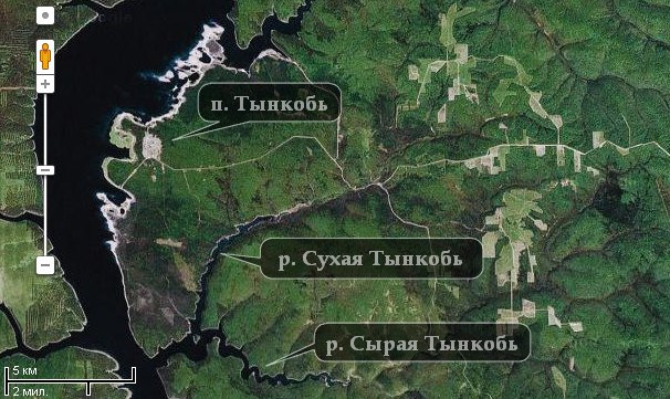 Карта Тынкоби - спутник
