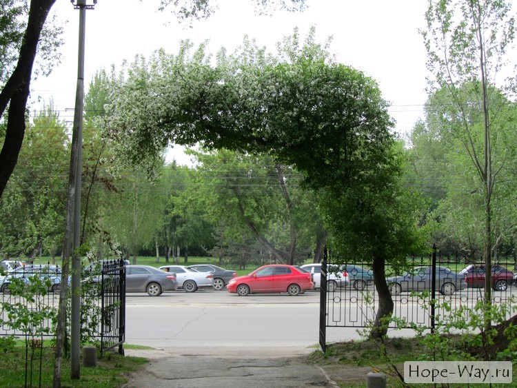 Ворота сад Кирова
