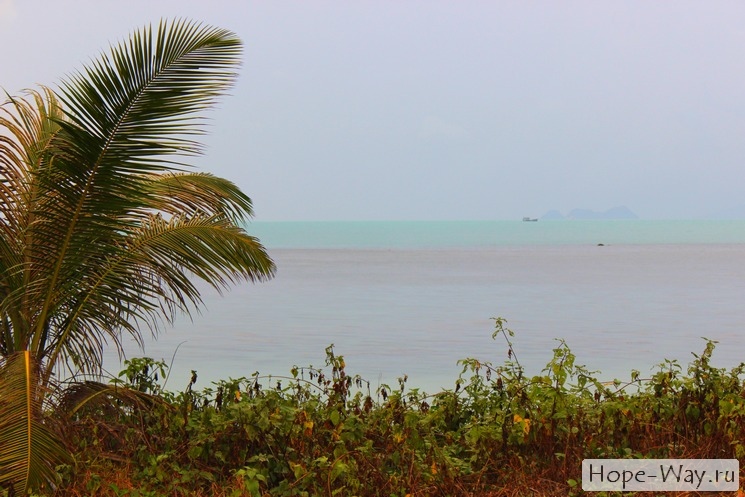 Вид с пляжа Банг По на море