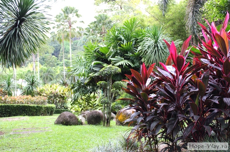 Одна из интереснейших достопримечательностей города Куала Лумпур - его Ботанический сад
