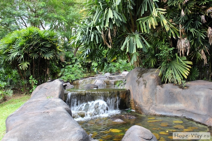 Красивый каскадный водопад в Ботаническом саду