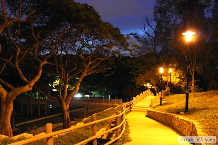 С наступлением темноты в парке включаются фонари