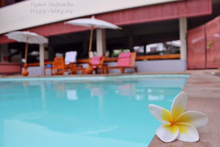 Бассейн с гидромассажем и удобными шезлонгами в отеле Phusiri Place (Чиангмай, Таиланд)