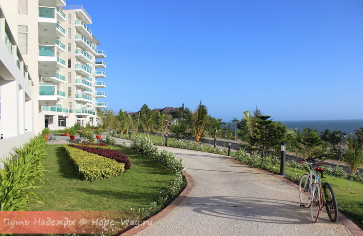 Отель Ocean Vista - двуспальные аппартаменты с видом на море обойдутся в 4 800 000 вьетнамских донгов